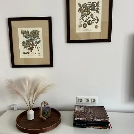 Trina In The Centre Appartement